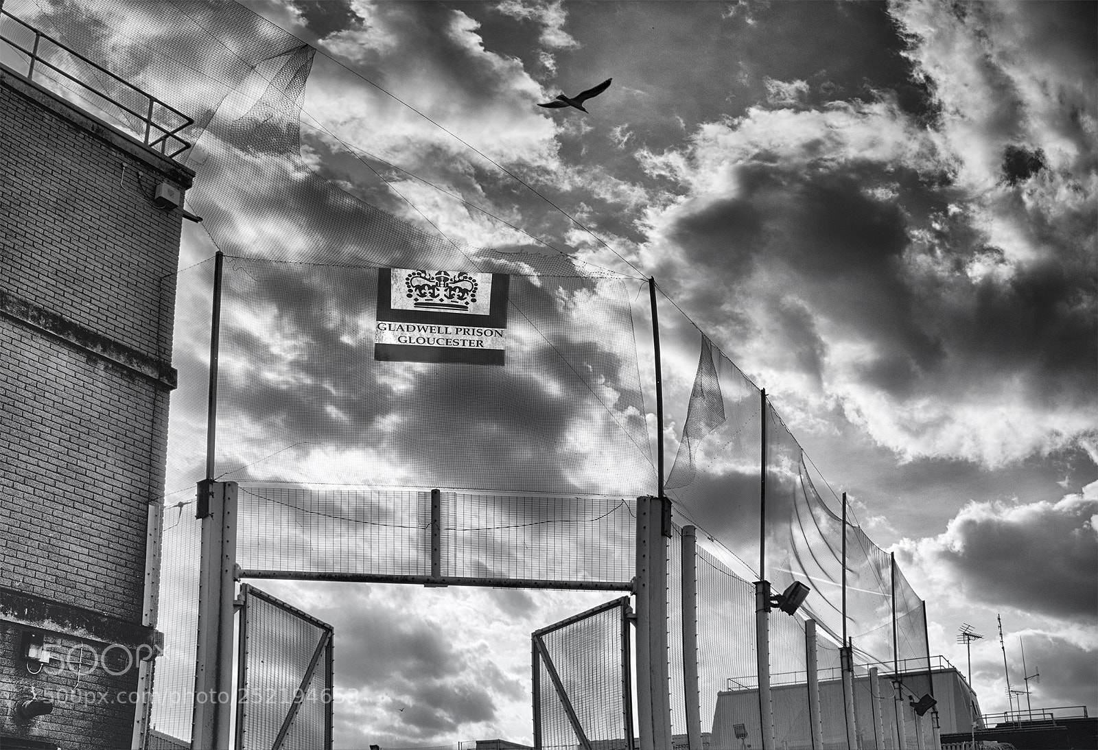 Sony a6500 sample photo. Escaping jail bird photography