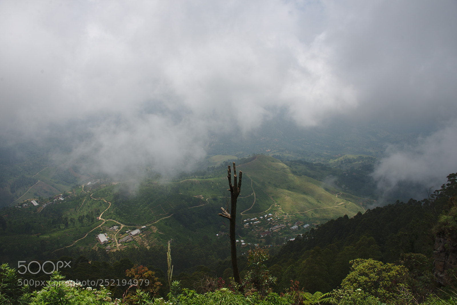 Nikon D610 sample photo. Sri lanka lipton seat 2018 photography