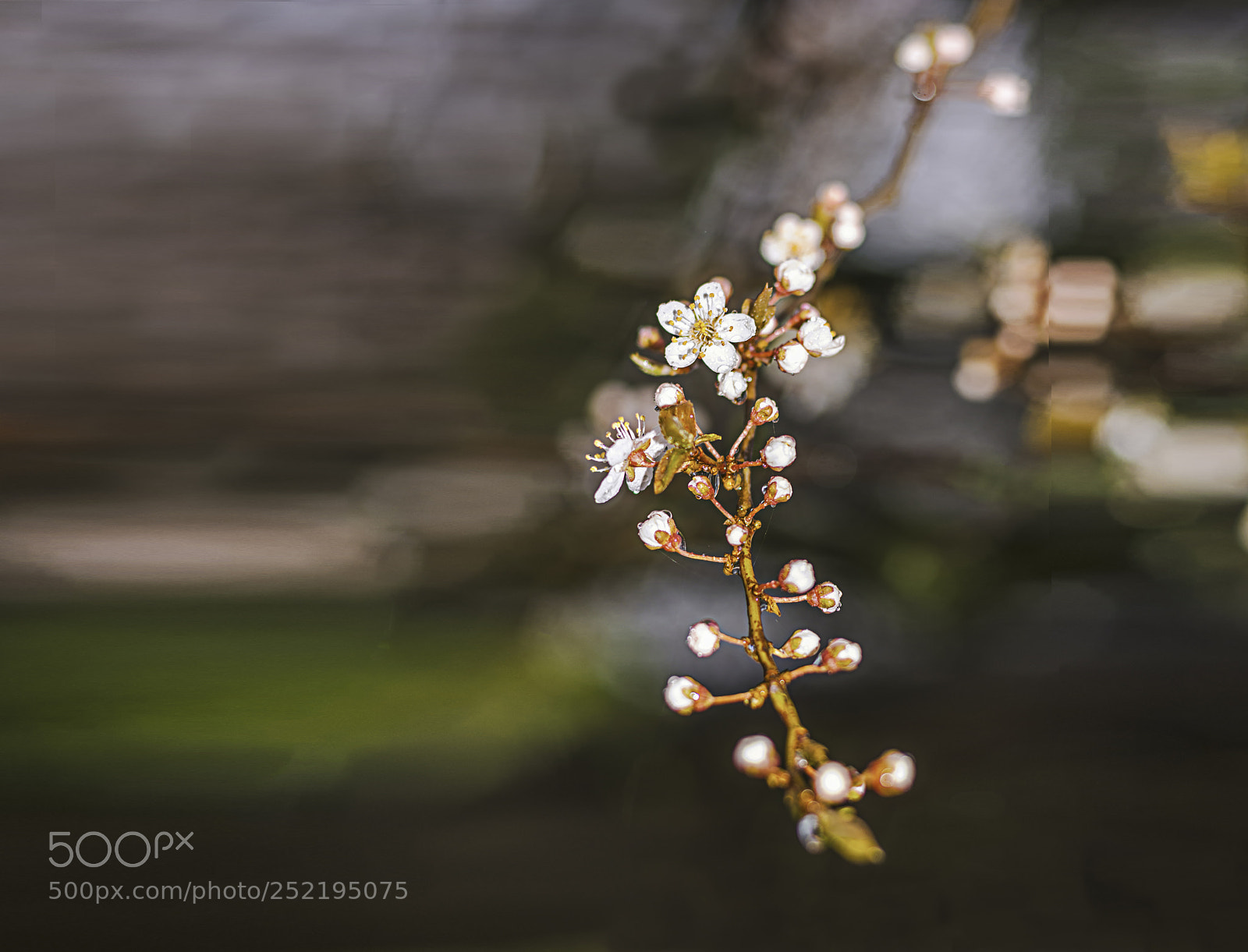 Nikon D7100 sample photo. Modifier modifier photography