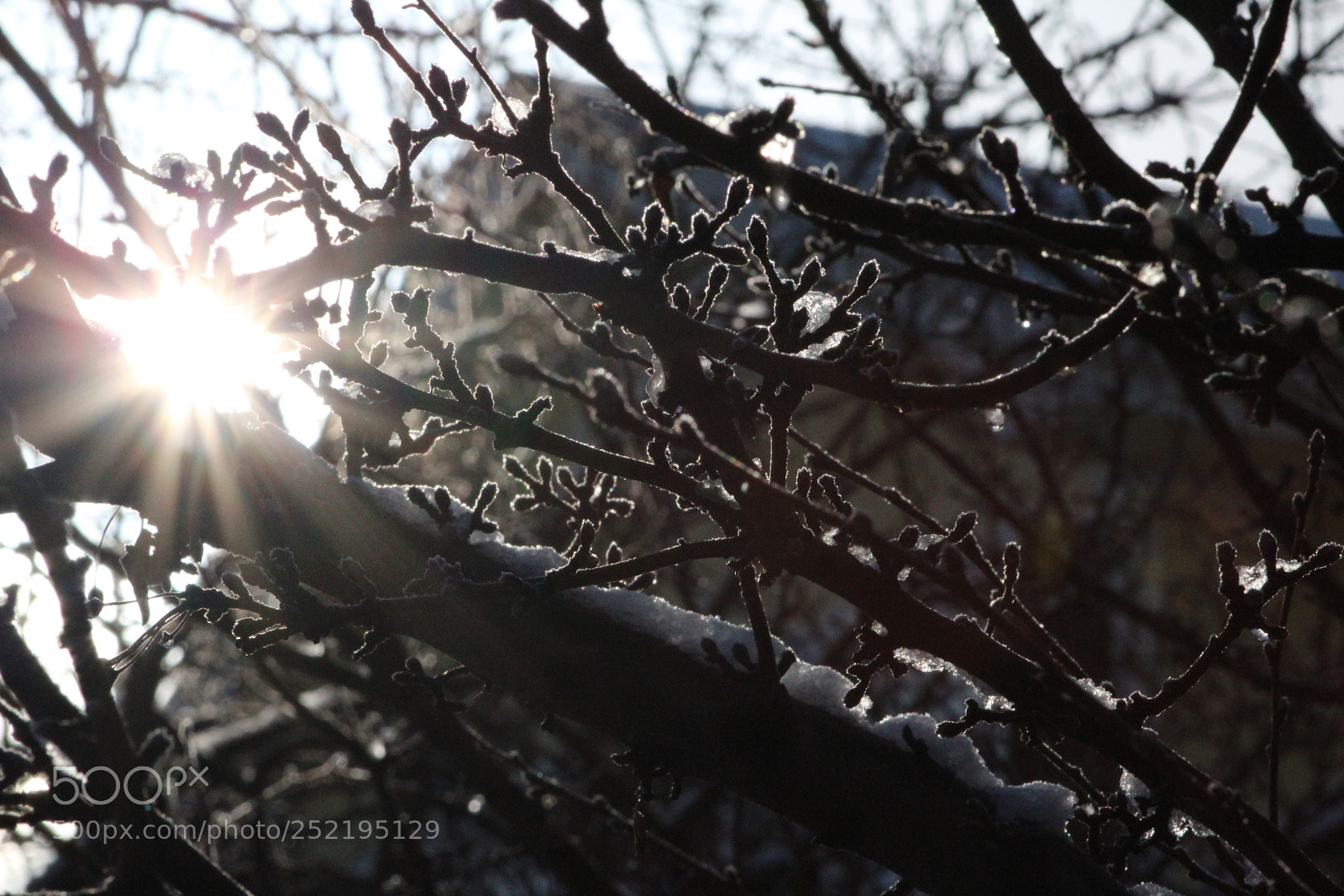Canon EF 75-300mm f/4-5.6 sample photo. Snowy sun photography