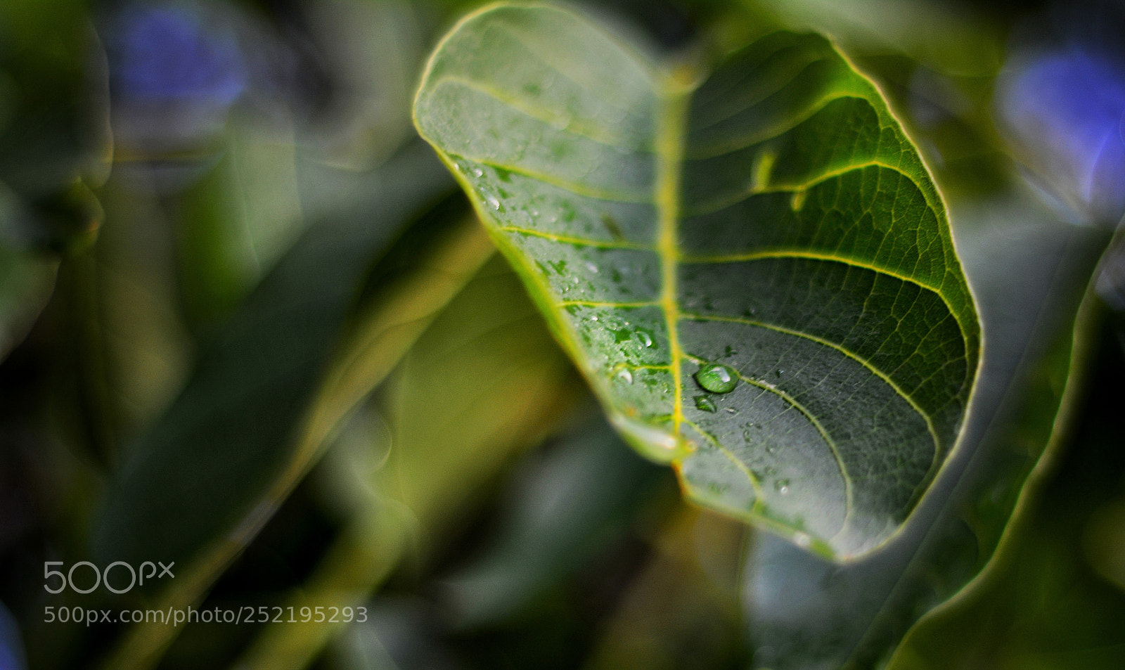 Nikon D7100 sample photo. Untitled photography