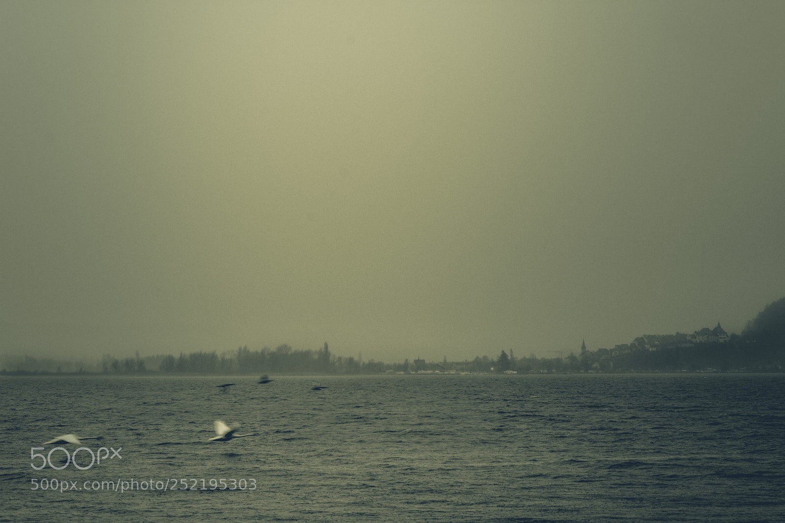 Nikon D7100 sample photo. Geay day photography