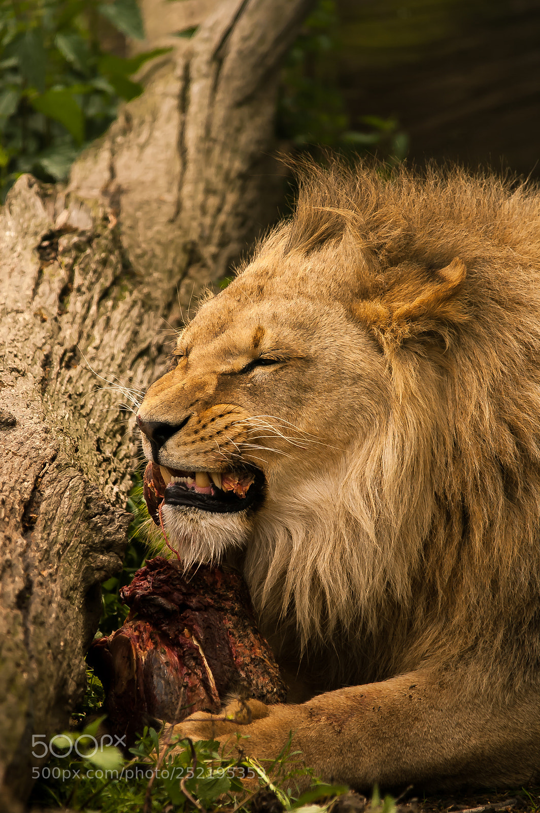 Nikon D70 sample photo. Whf b photography