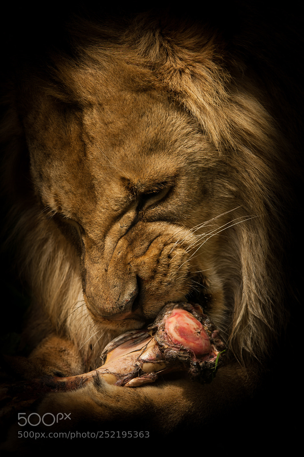 Nikon D70 sample photo. Whf c photography