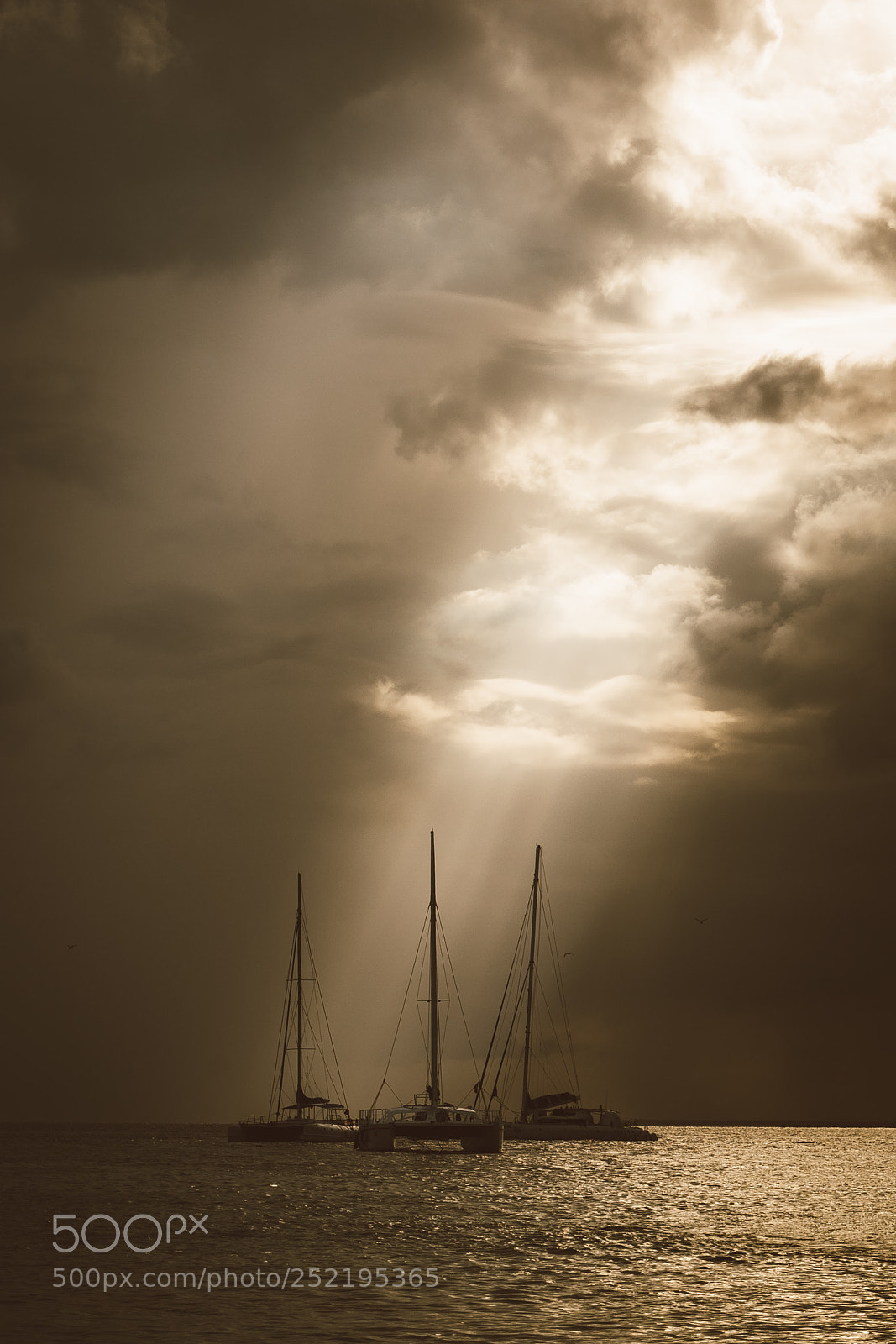 Nikon D810 sample photo. Ste_1037-2.jpg photography