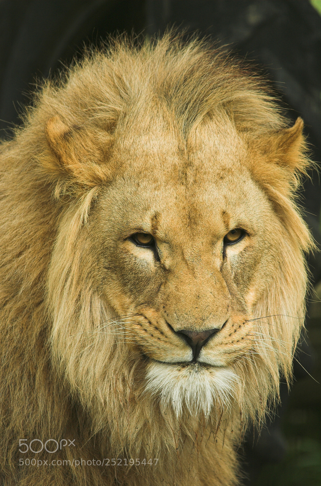 Nikon D70 sample photo. Whf c photography