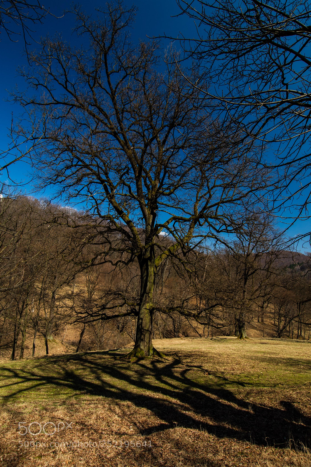 Nikon D7200 sample photo. Tix photography