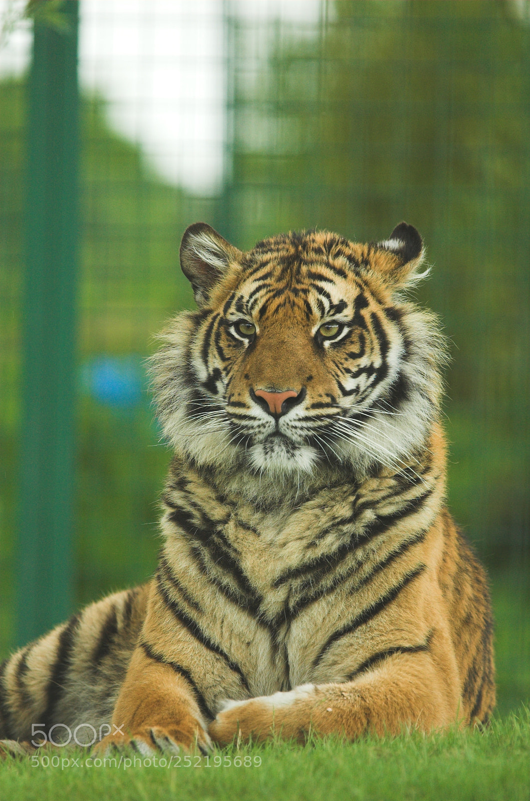 Nikon D70 sample photo. Whf a photography