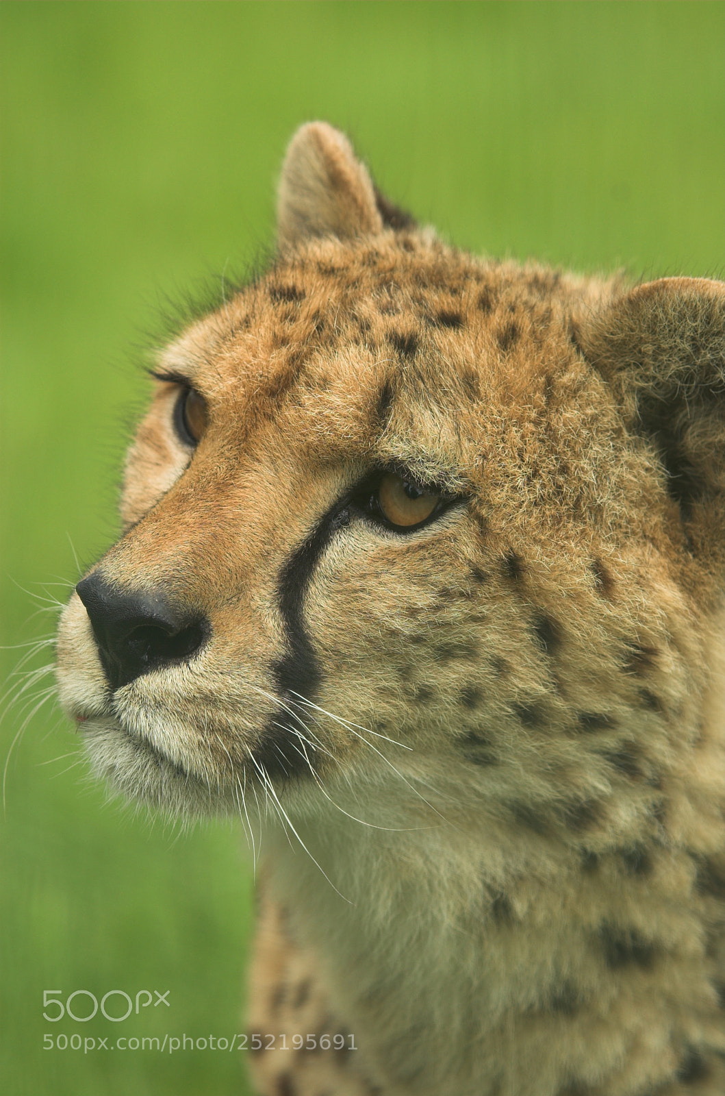 Nikon D70 sample photo. Whf e photography