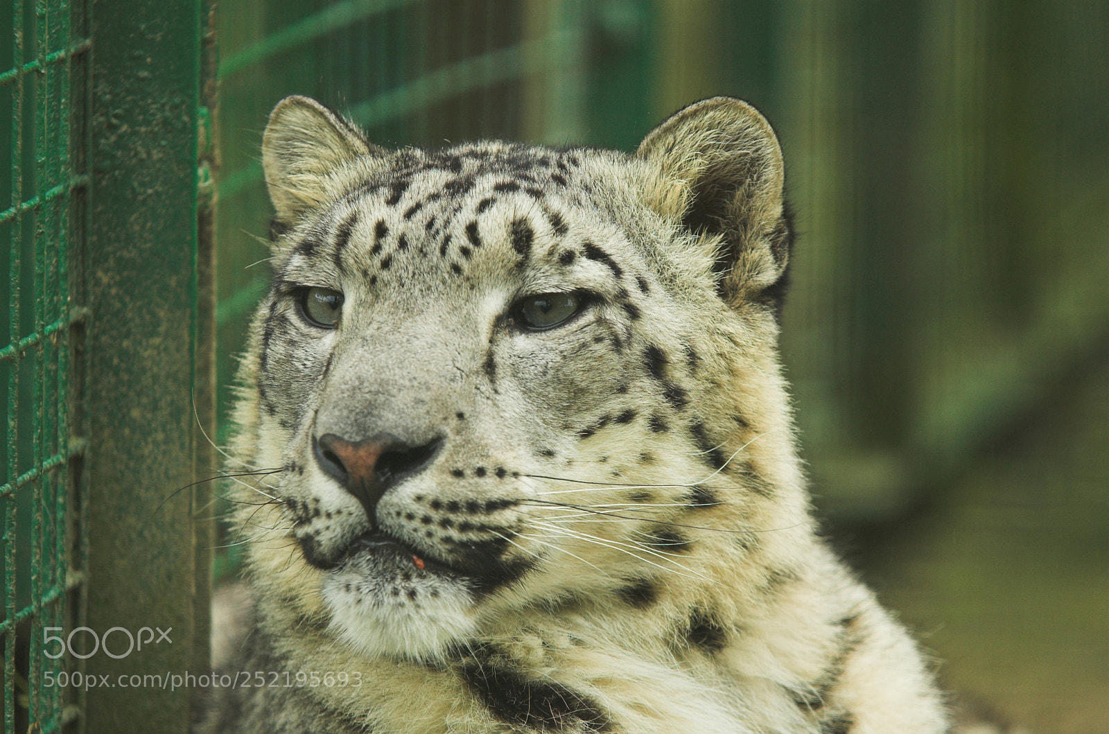 Nikon D70 sample photo. Whf f photography