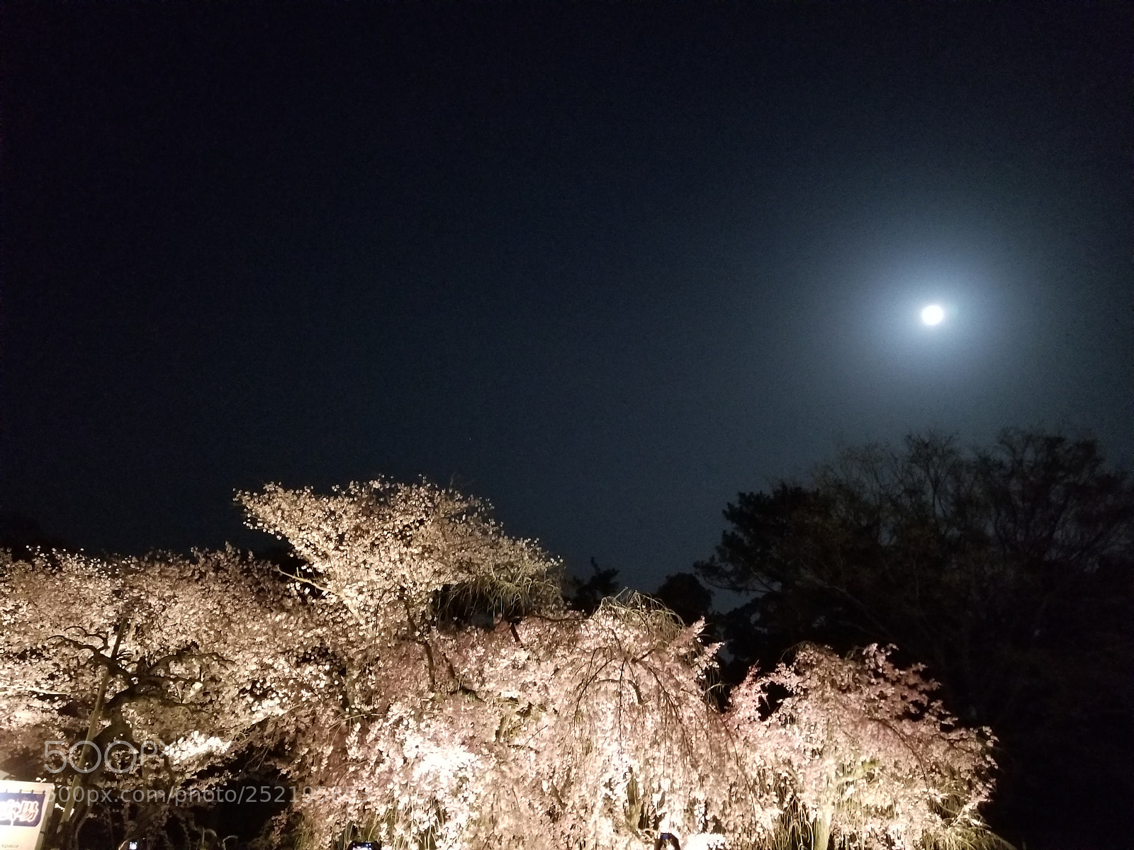 Samsung Galaxy S8+ sample photo. Night sky photography