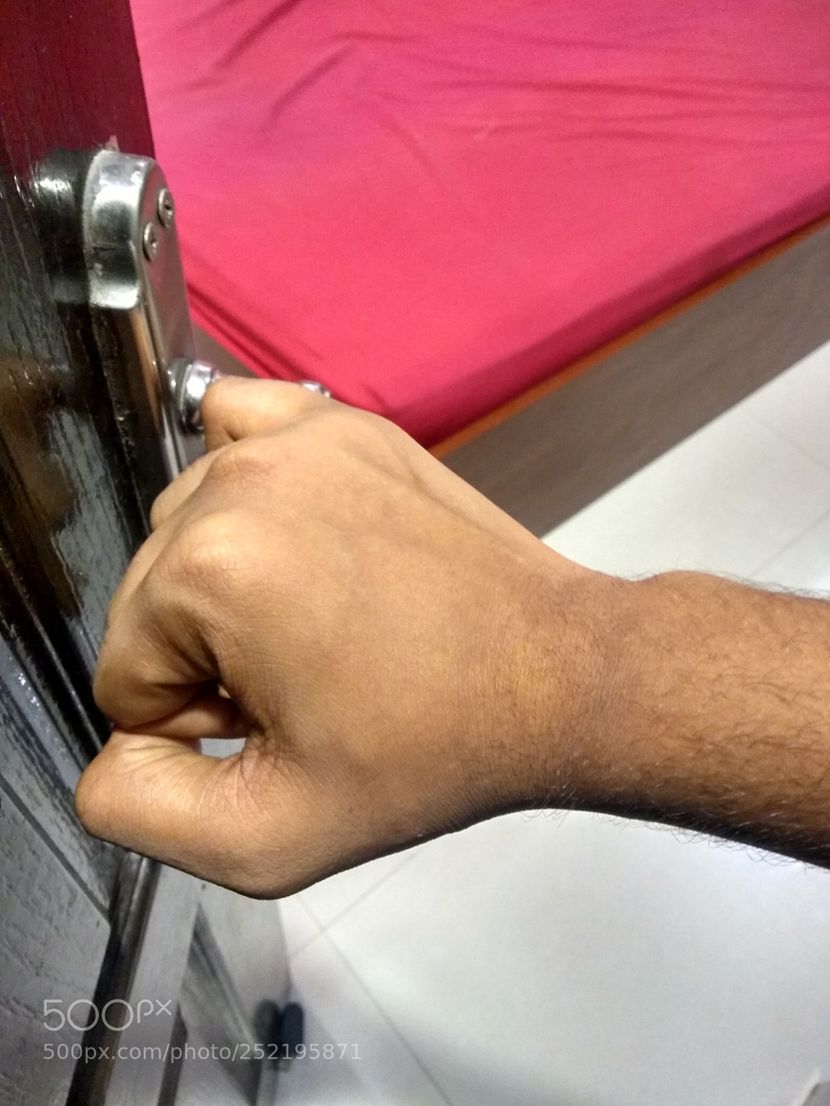 Motorola Moto G (5S) Plus sample photo. ** something common** photography