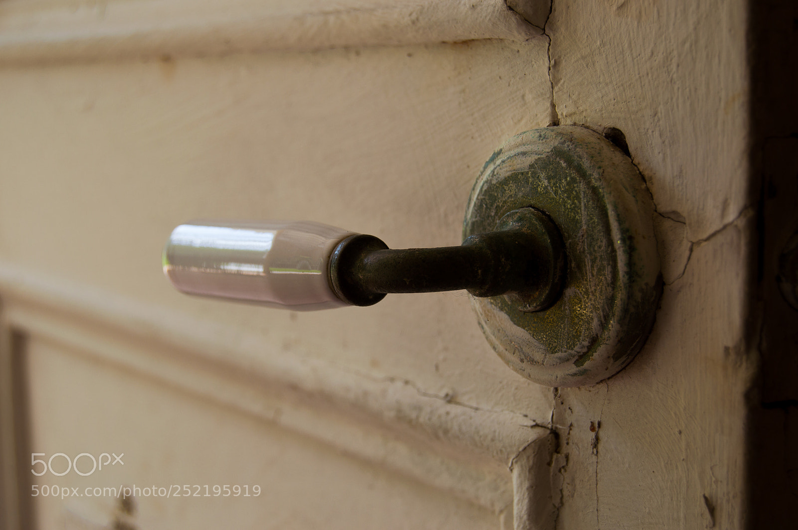 Nikon D3200 sample photo. Hidden beauty photography