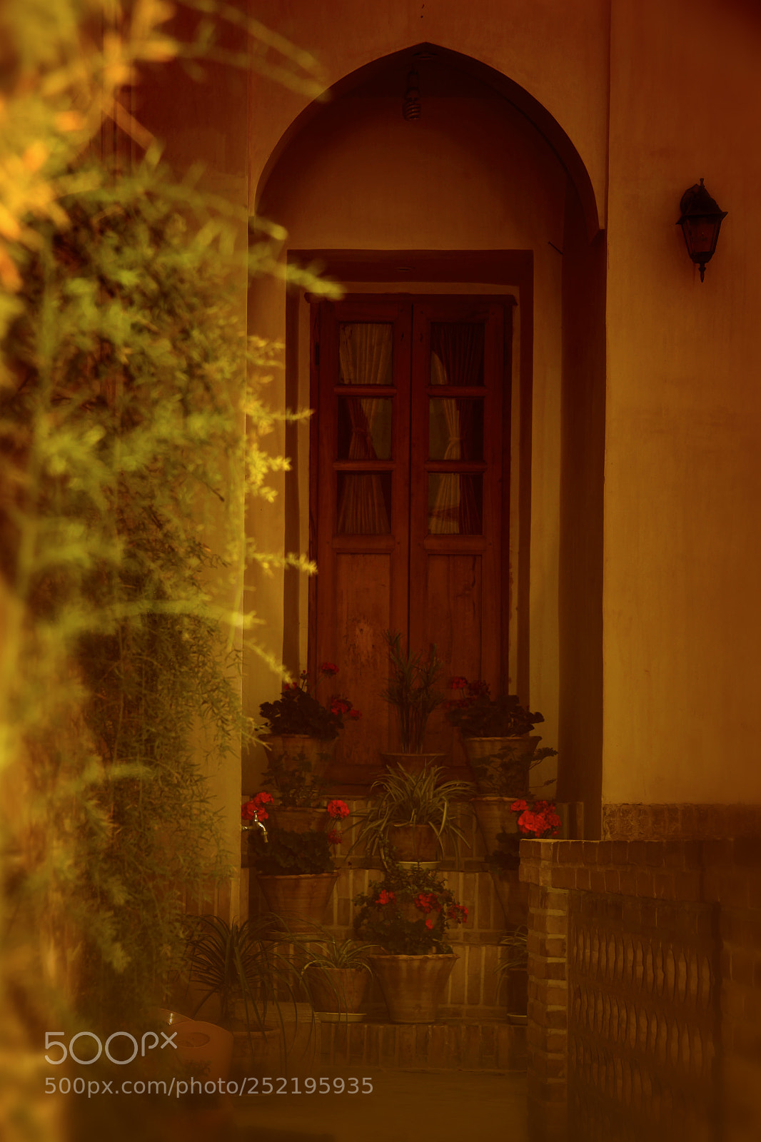 Canon EOS 5D Mark II sample photo. Untitled photography