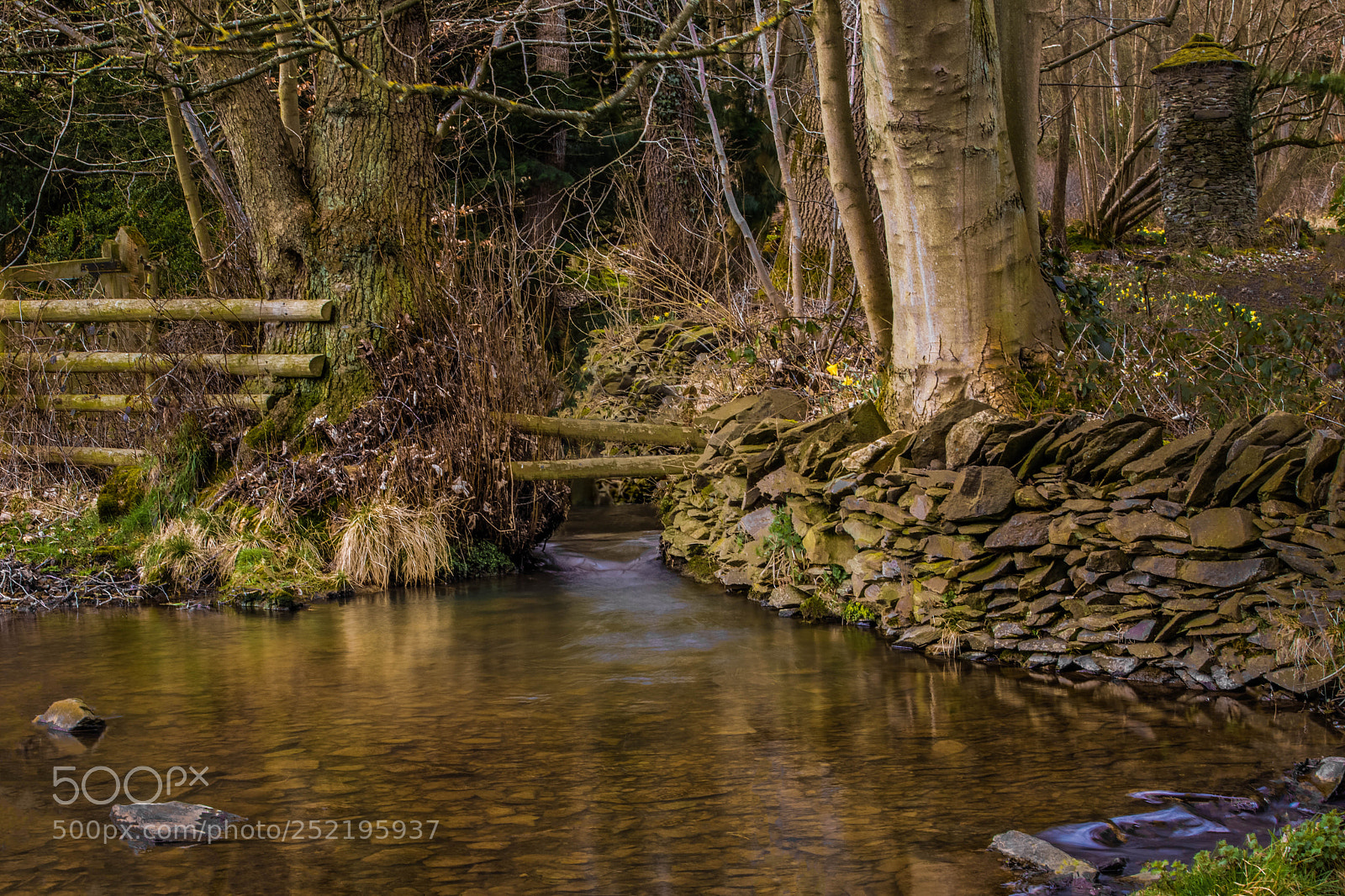Canon EOS 5D Mark IV sample photo. Stream photography