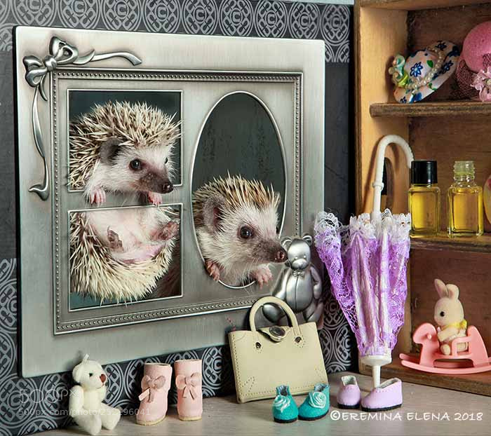 Canon EOS 5D Mark II sample photo. Family portrait photography