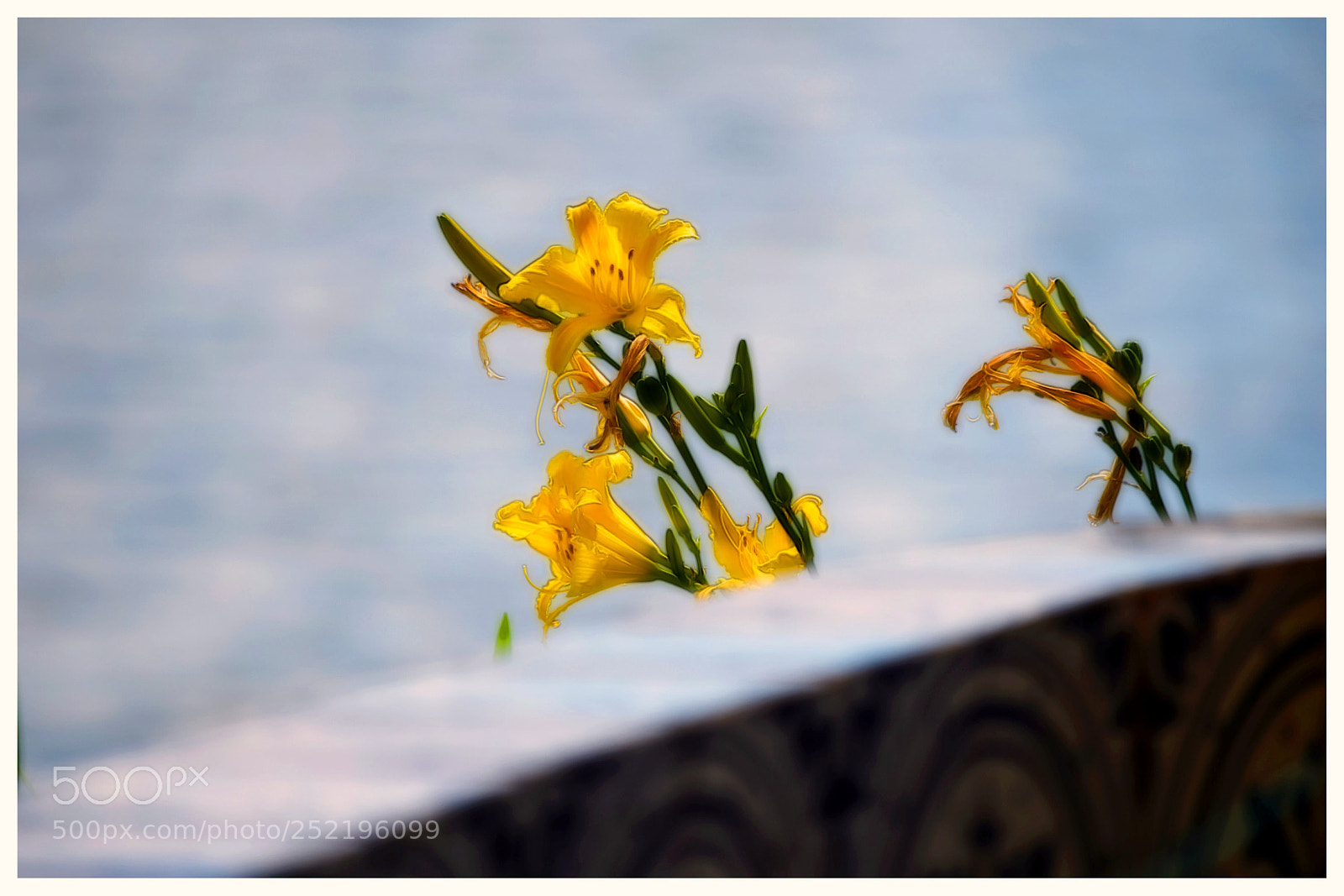 Nikon D5300 sample photo. "toyou" photography