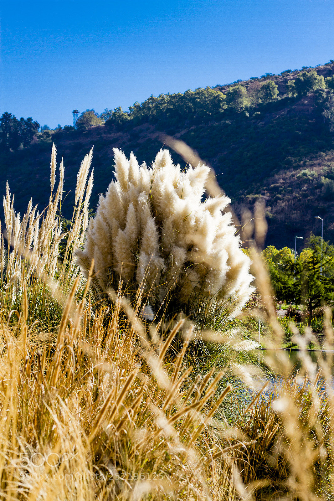 Canon EOS 7D sample photo. A la orilla del photography
