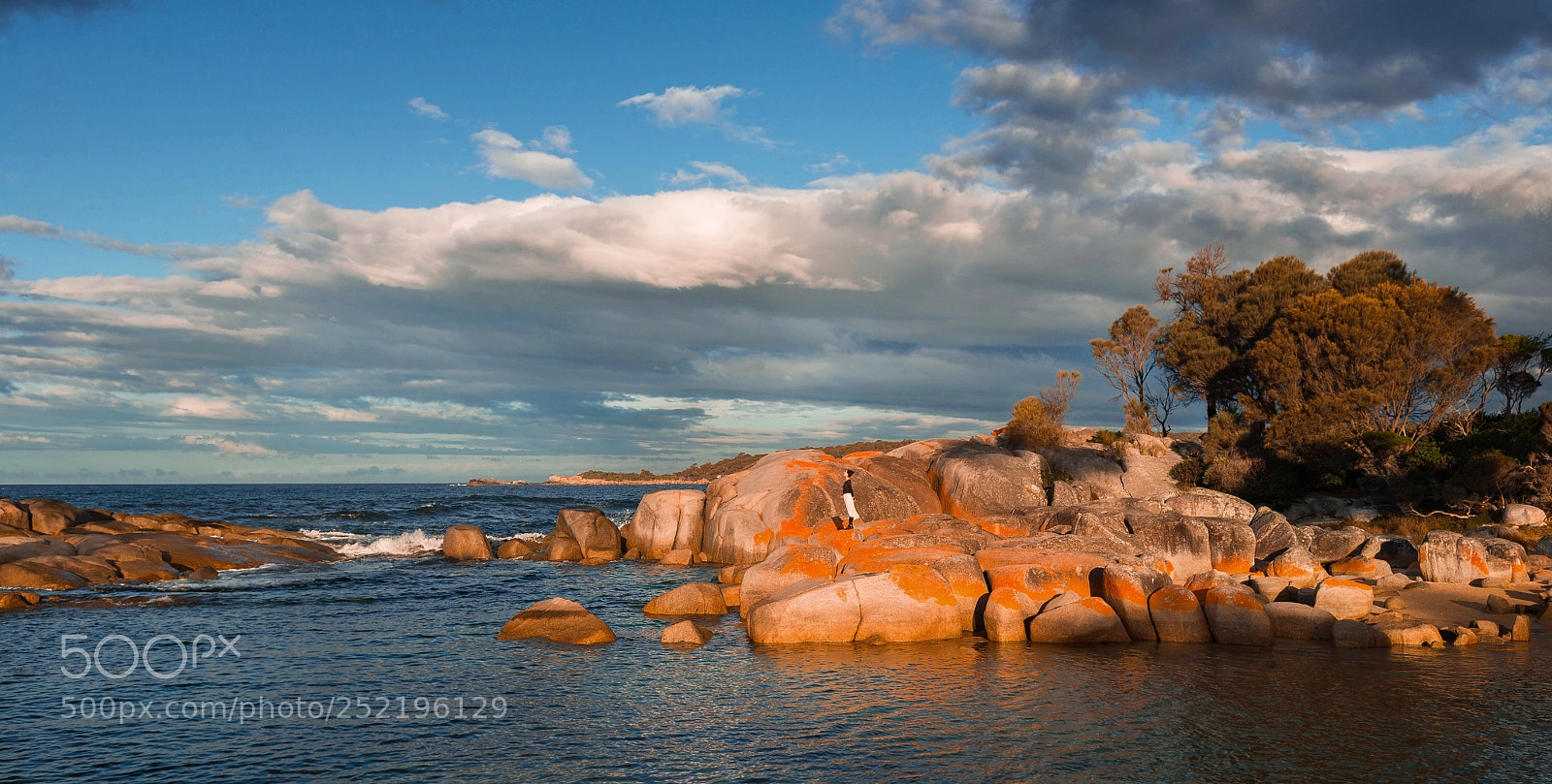 Nikon D800E sample photo. Bay of fires photography