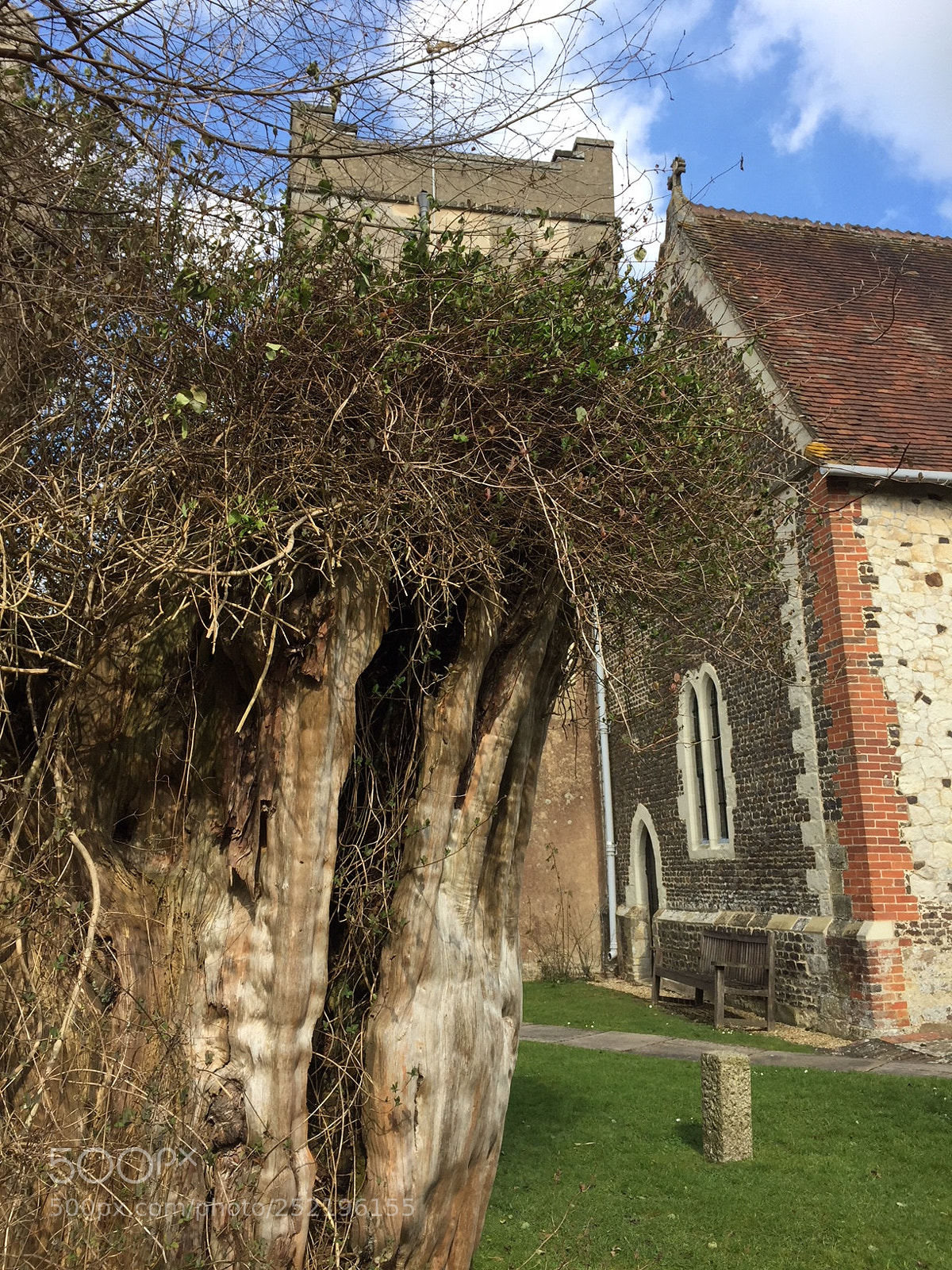 Apple iPhone 6 Plus sample photo. St marys church selborne photography