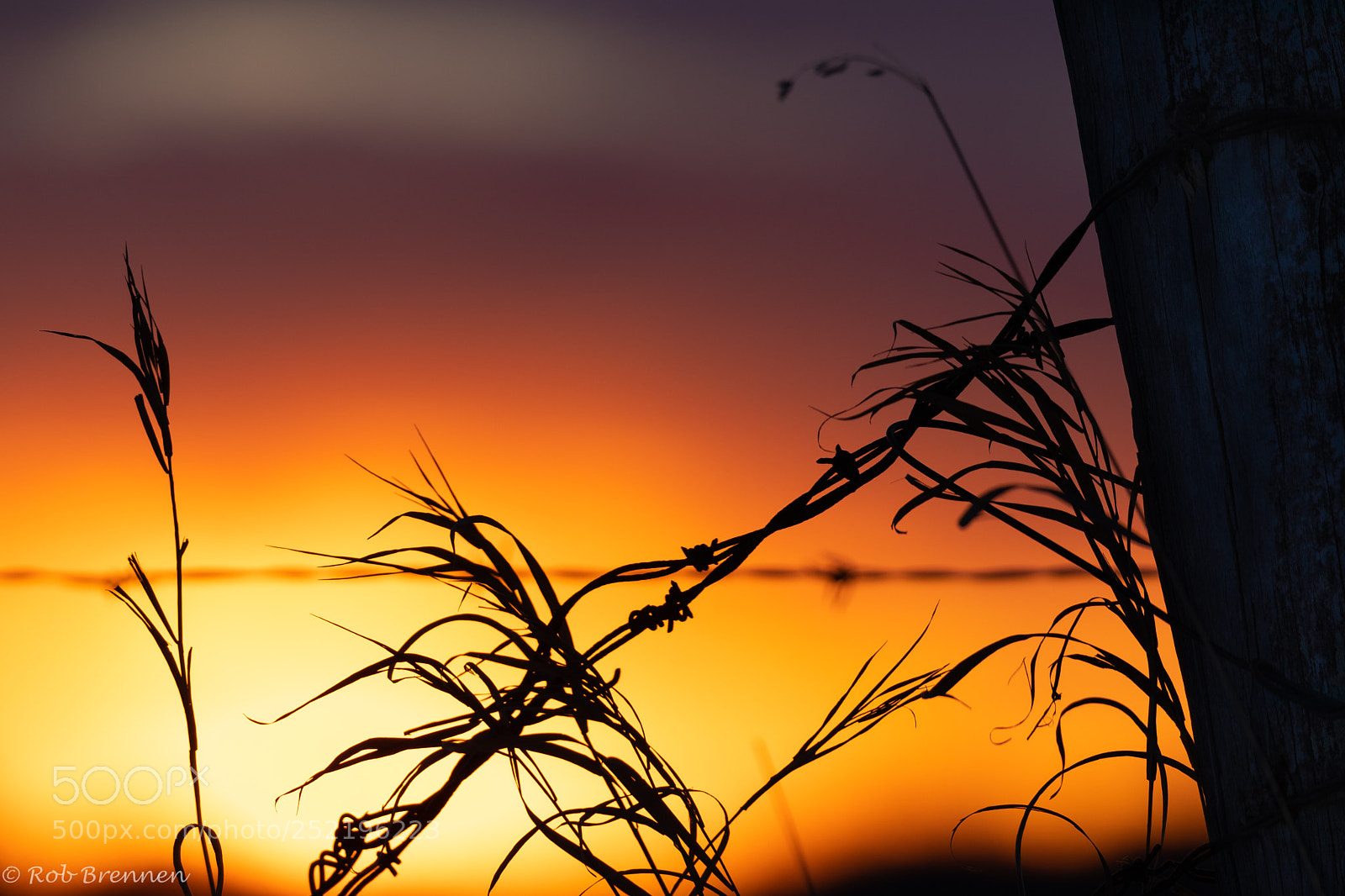 Canon EOS 80D sample photo. Sunset on country fence photography