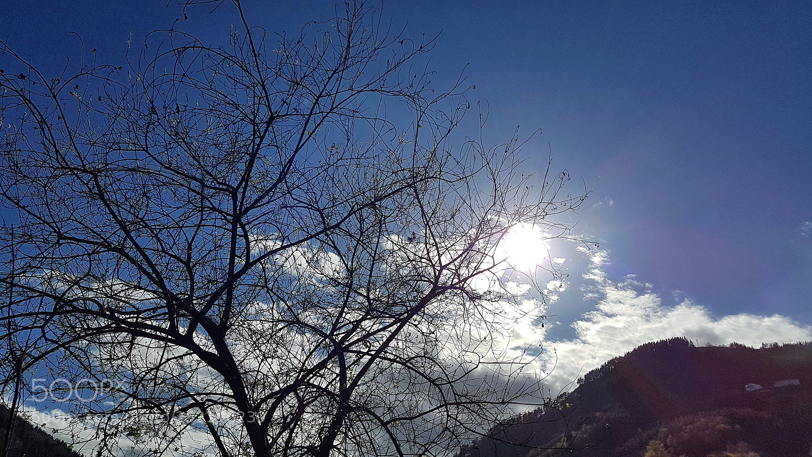 Samsung Galaxy S7 Edge sample photo. Untitled photography