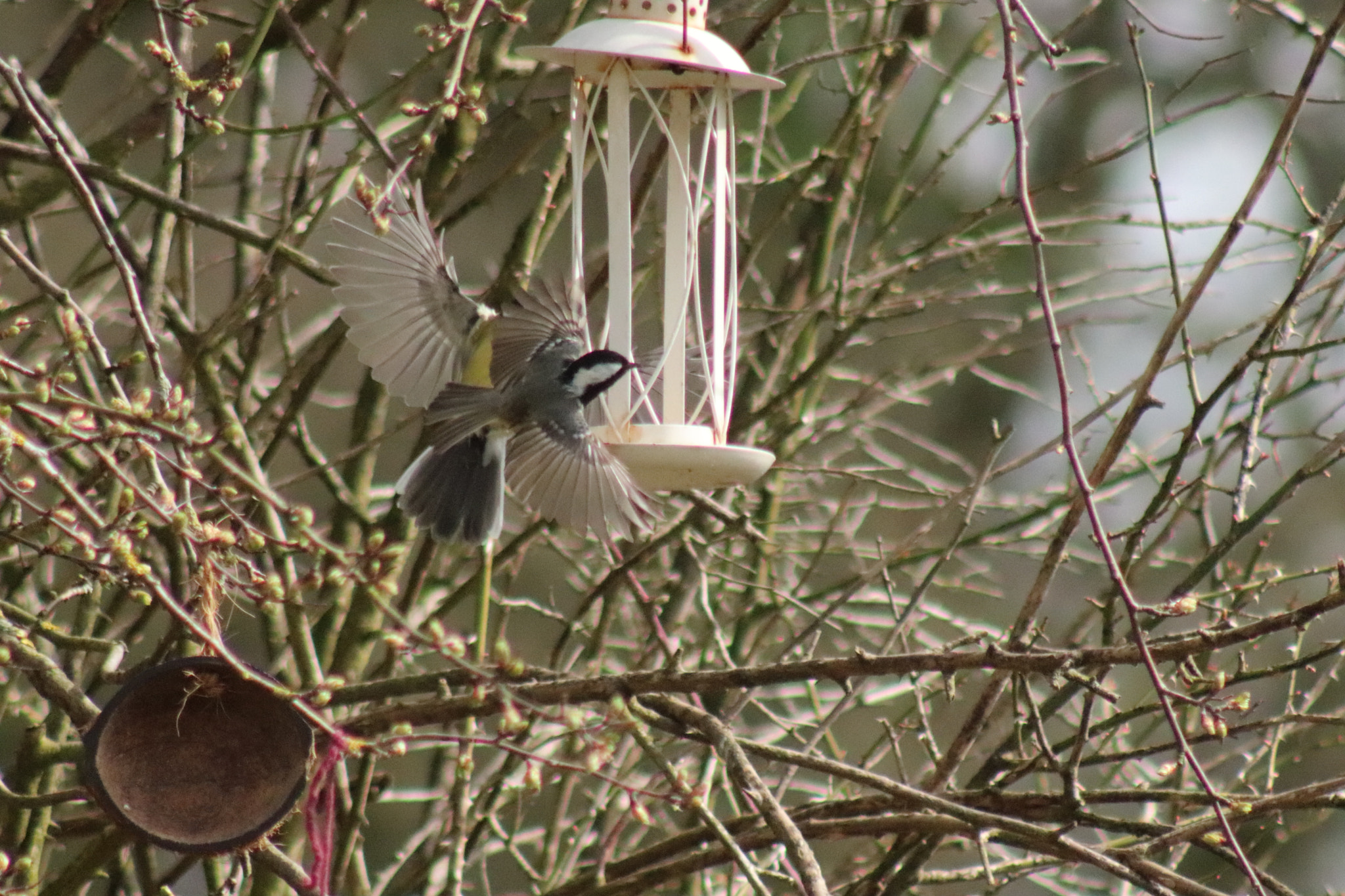 Canon EF 75-300mm f/4-5.6 sample photo. Img photography