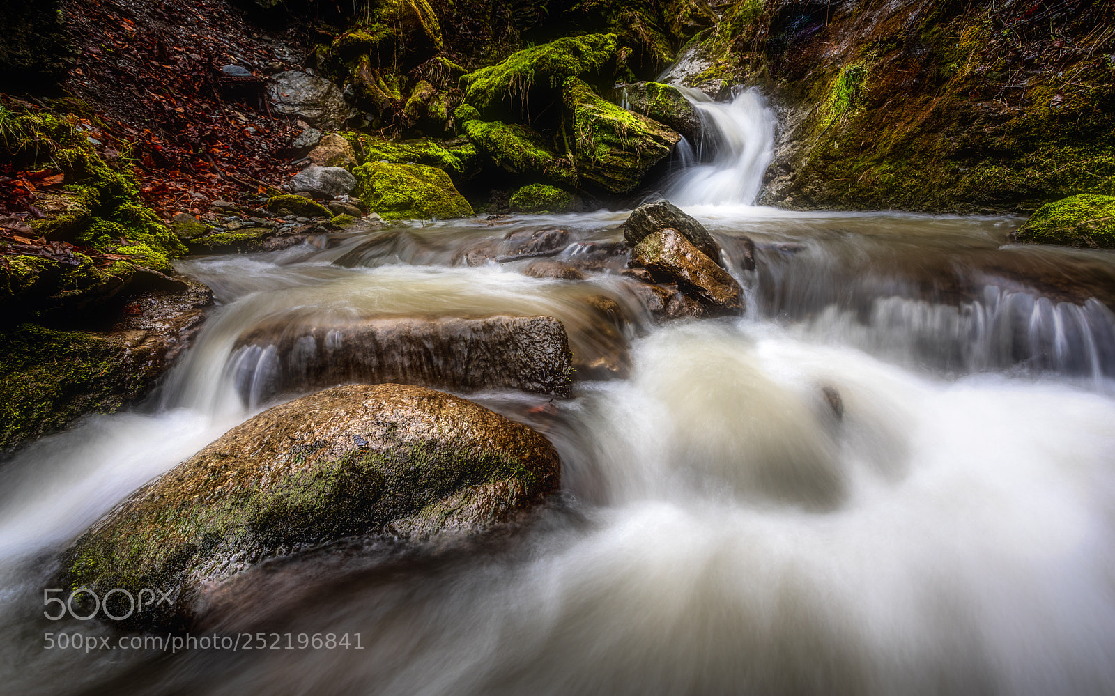 Canon EOS 5D Mark IV sample photo. Sillschlucht photography