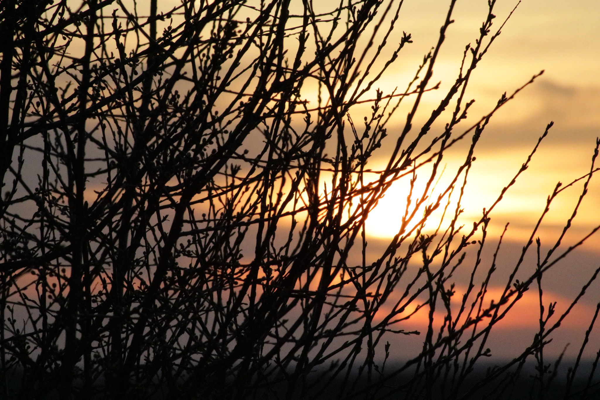 Canon EOS 760D (EOS Rebel T6s / EOS 8000D) sample photo. Sunset photography