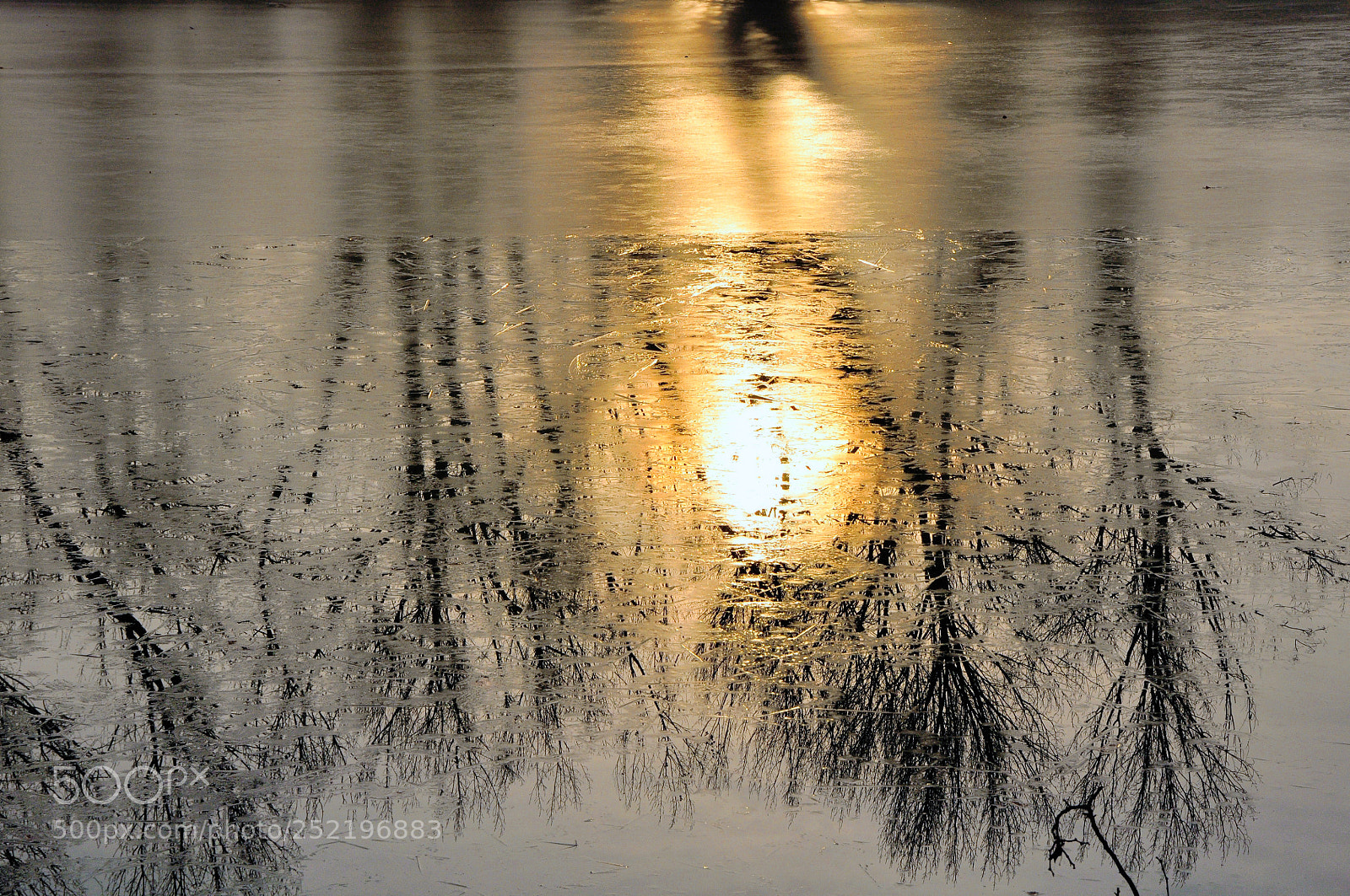 Nikon D90 sample photo. Mirrored photography