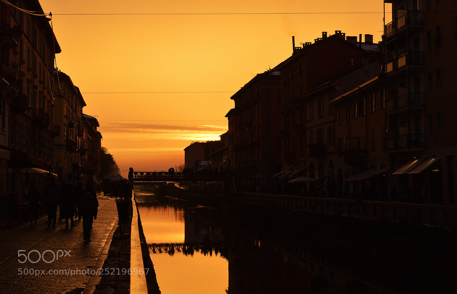Nikon D3200 sample photo. Orange photography