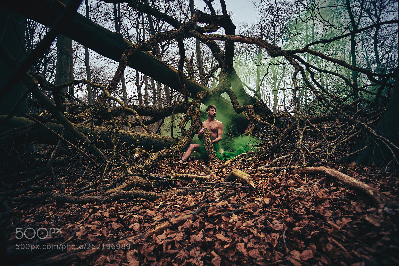 Canon EOS 6D Mark II sample photo. Merijn rook volente photography