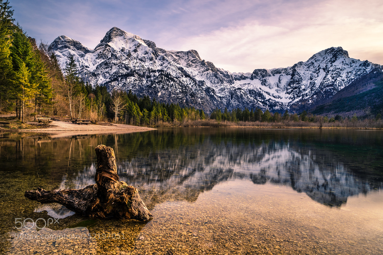 Sony a7 III sample photo. Almsee photography