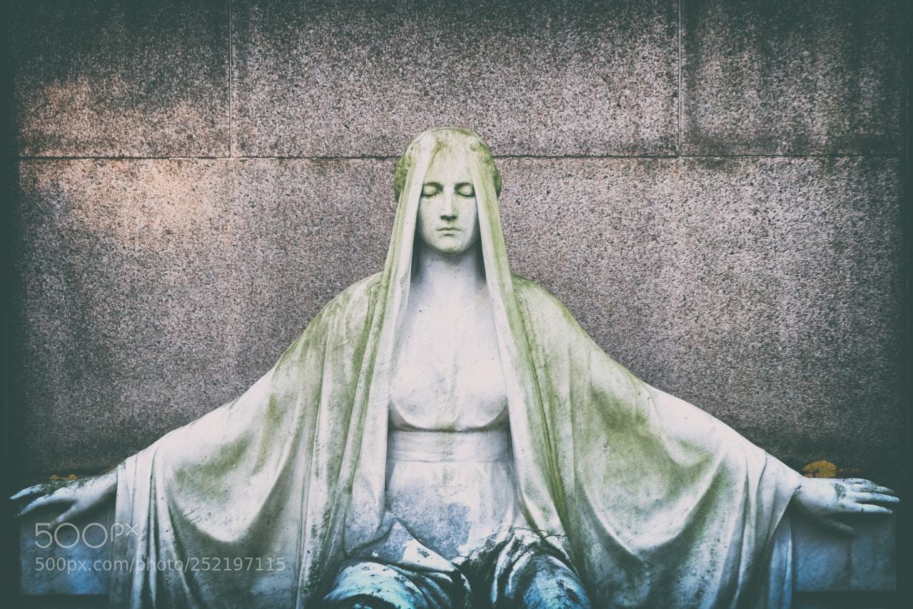 Fujifilm X-T1 sample photo. Cara photography