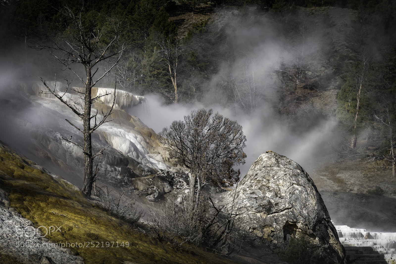 Nikon D800 sample photo. Mammoth hot springs in photography
