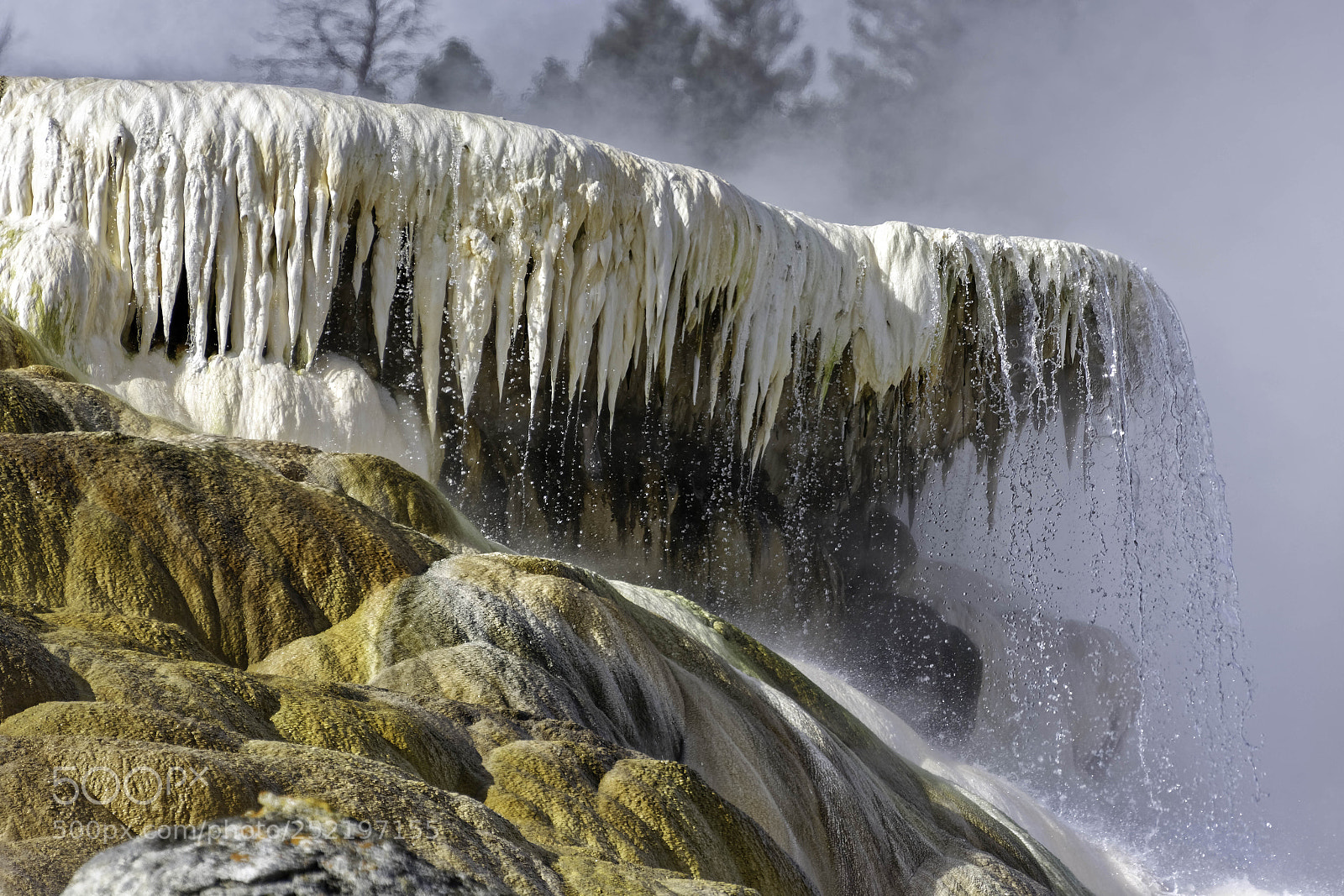 Nikon D5200 sample photo. Mammoth hot springs photography