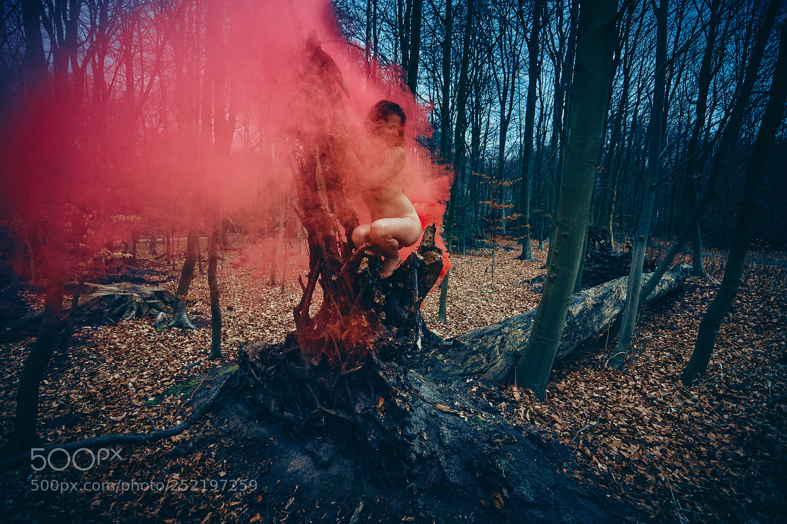 Canon EOS 6D Mark II sample photo. Karine rook volente photography