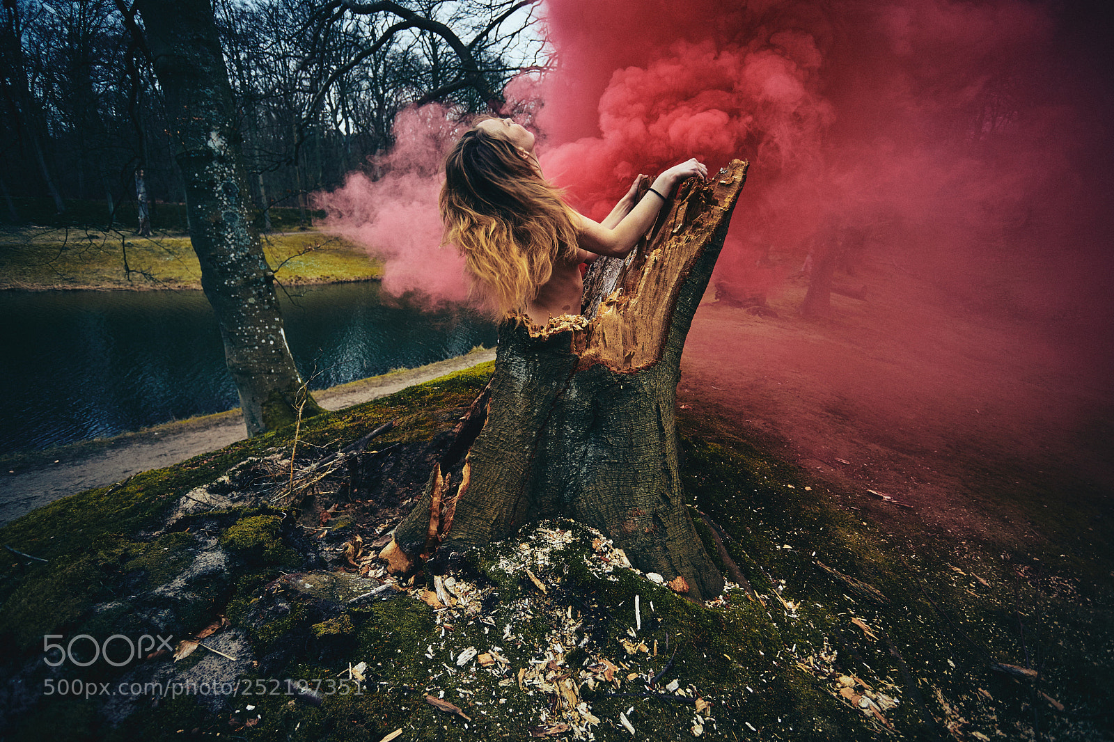 Canon EOS 6D Mark II sample photo. Ronja rook volente photography