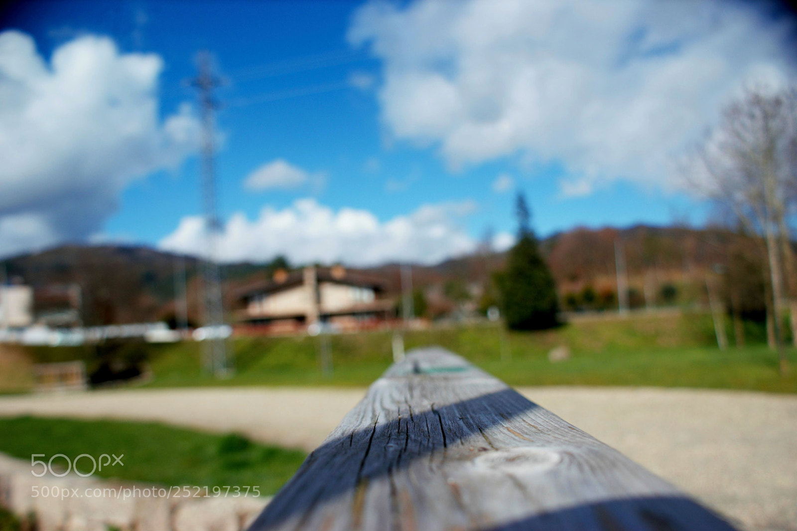 Sony Alpha DSLR-A350 sample photo. ©️inês amada photography