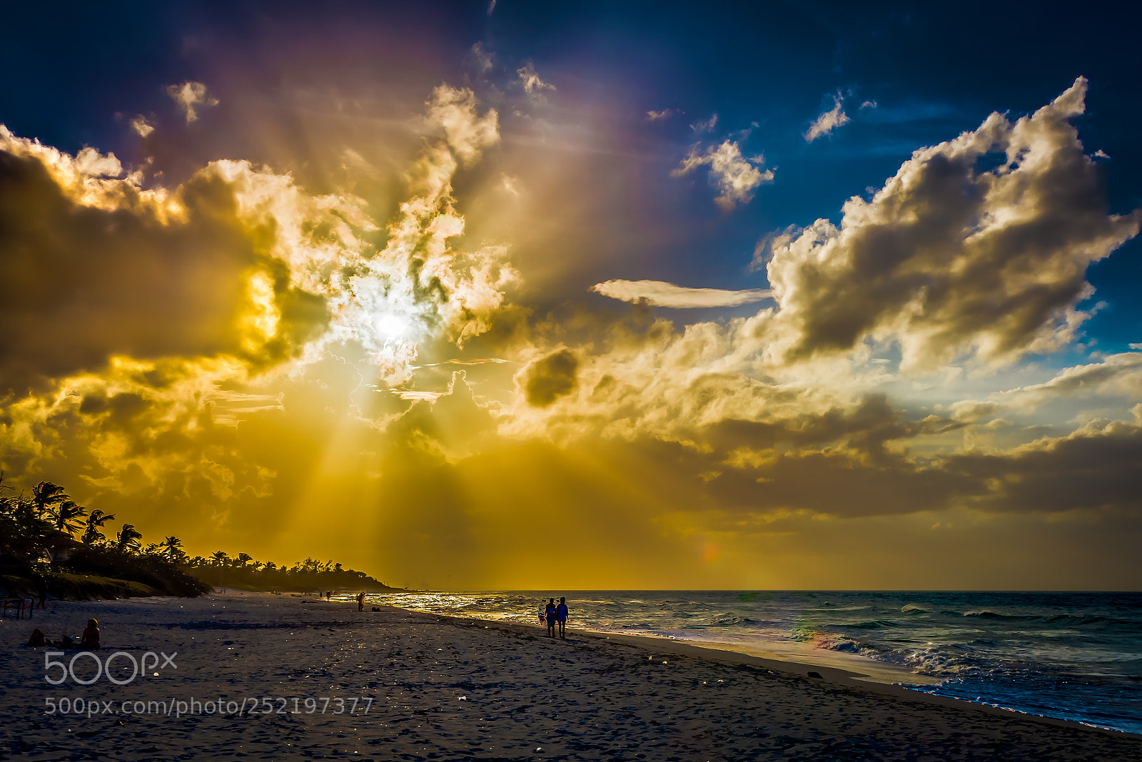 Nikon D810 sample photo. Afternoon sunlight photography
