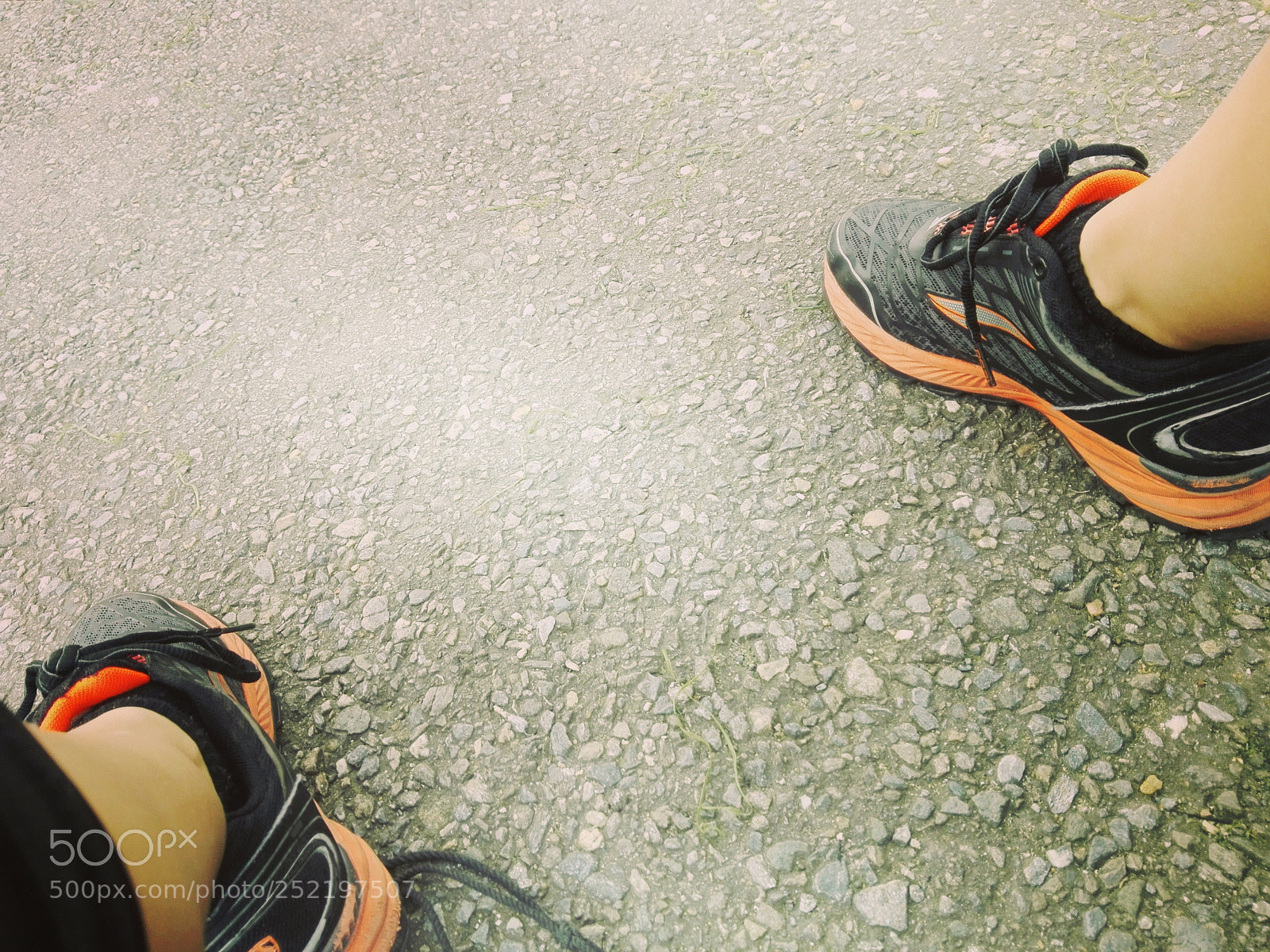 HUAWEI P8 Lite sample photo. Untitled photography
