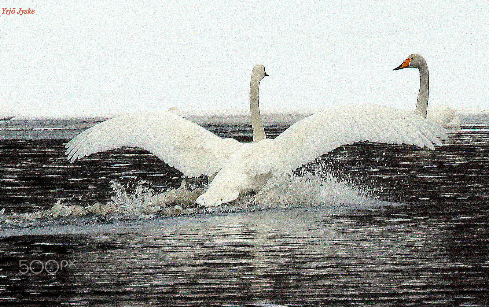 Canon EOS 700D (EOS Rebel T5i / EOS Kiss X7i) sample photo. Landing.... photography