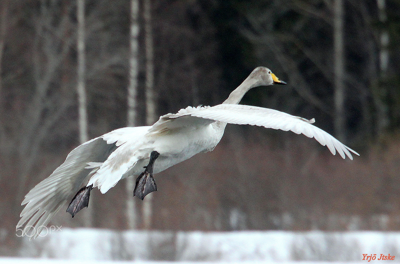 Canon EOS 700D (EOS Rebel T5i / EOS Kiss X7i) sample photo. Lonely landing... photography