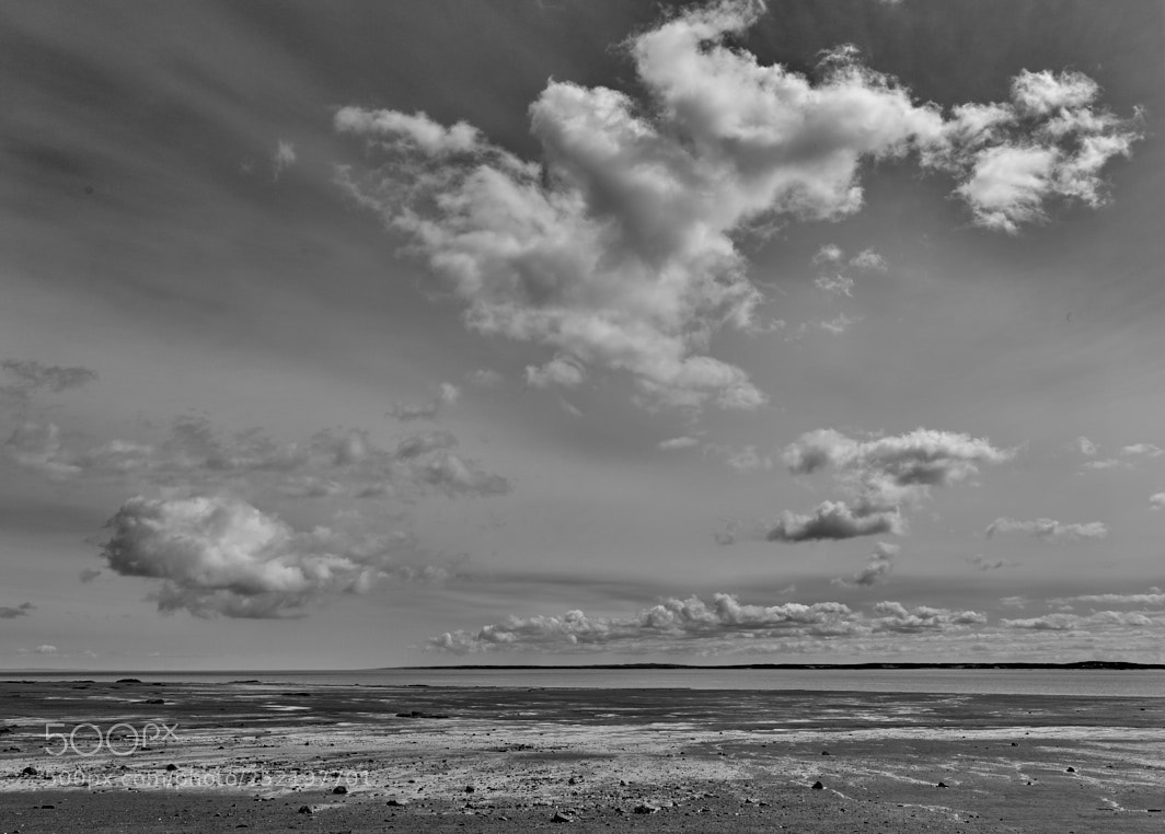 Sony a7R II sample photo. Tide is out at photography