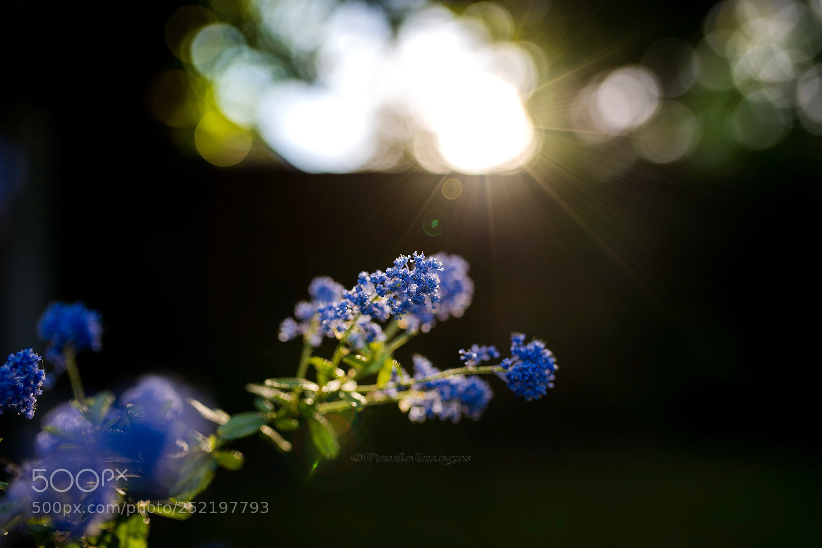 Nikon D810 sample photo. Can t wait for photography