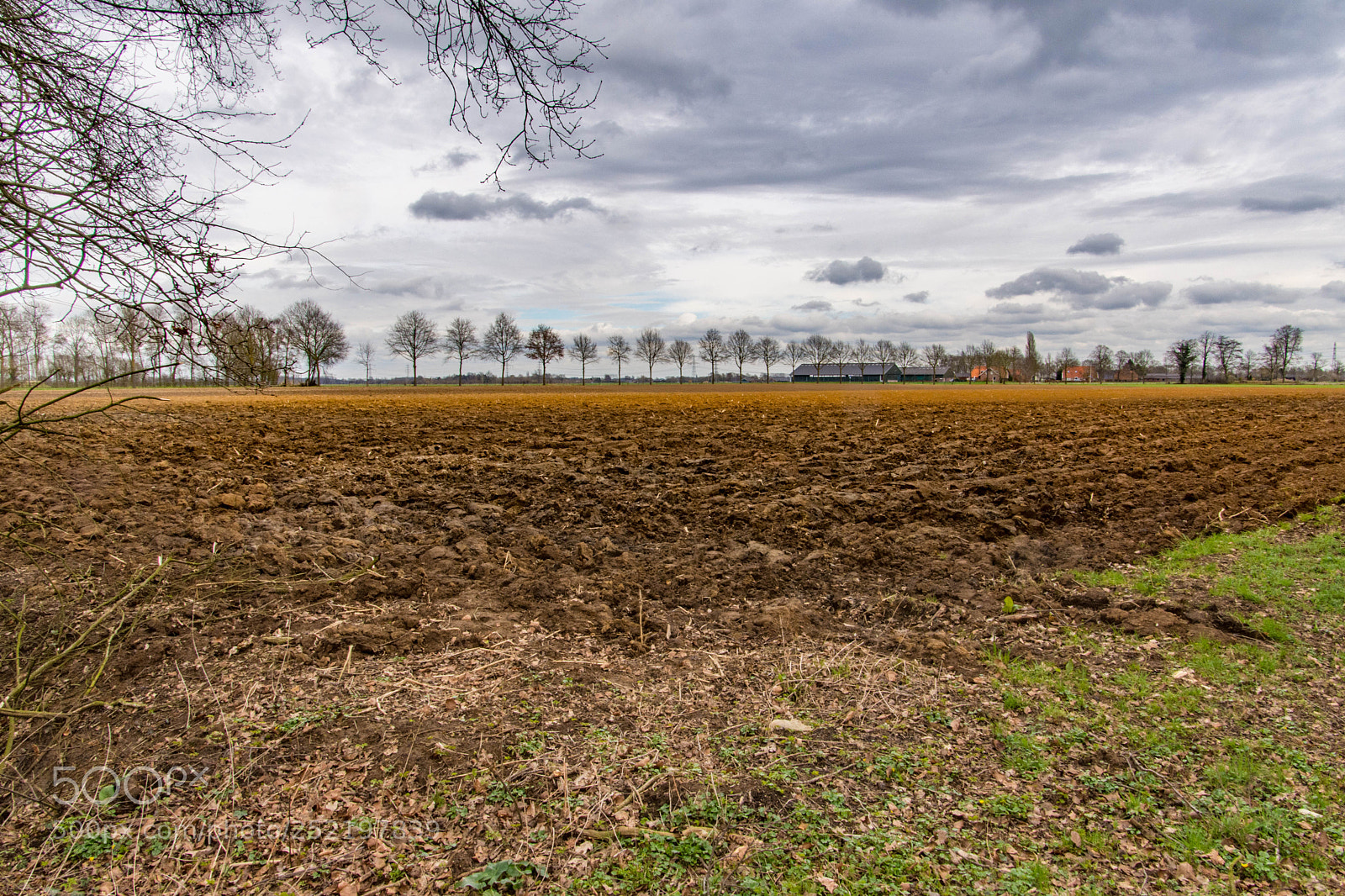 Nikon D7200 sample photo. This field is ready photography