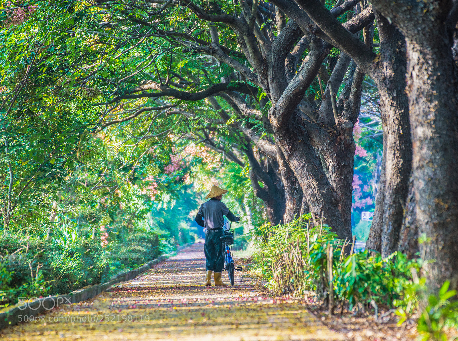 Nikon D7200 sample photo. 編輯 編輯 photography
