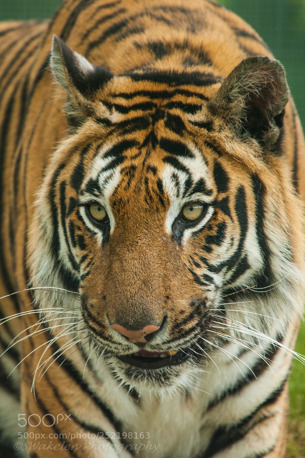 Nikon D70 sample photo. Whf a photography