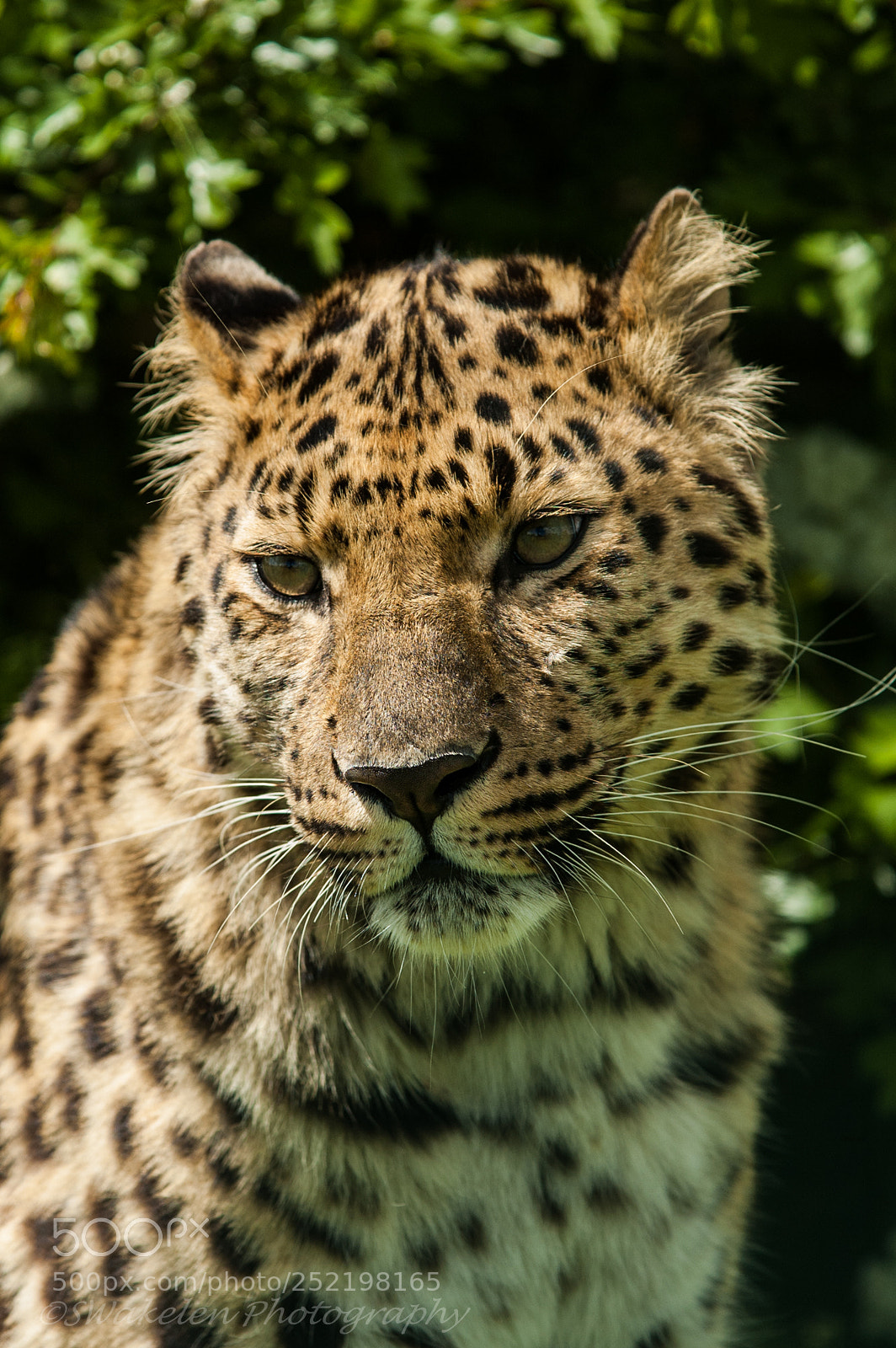 Nikon D70 sample photo. Whf d photography