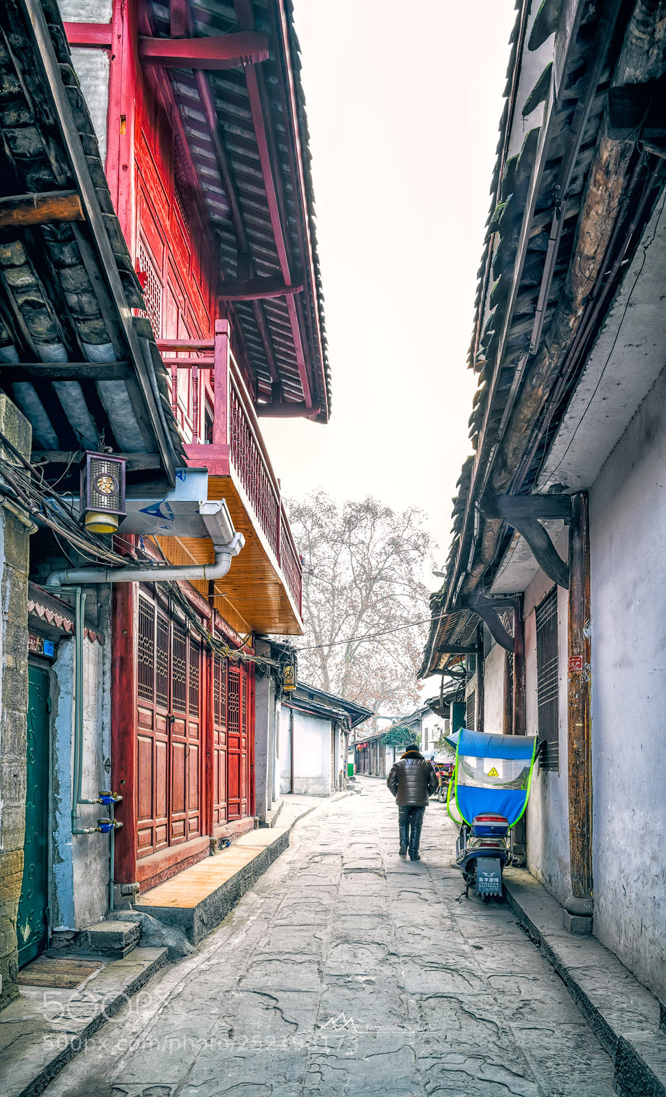 Nikon D850 sample photo. 阆中古城 photography